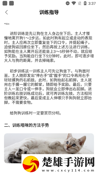 17.c,起草網(wǎng)登錄入畫中畫版下載-17.c-起草網(wǎng)登錄入手工制作教程版下載