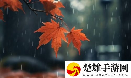 大暴雨、大降溫！端午假期安徽最新天氣