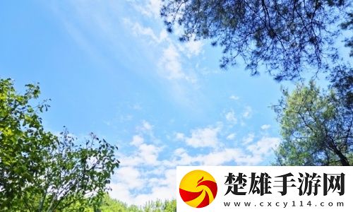 煙臺天氣預(yù)報：今日多云涼爽宜人 市區(qū)最高氣溫25℃