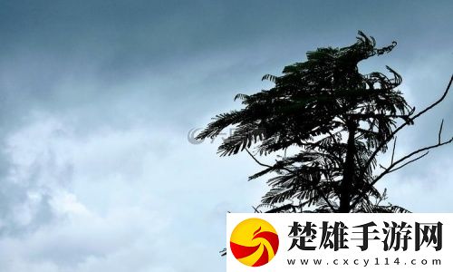 雨水時(shí)而上線 島城天氣多變換
